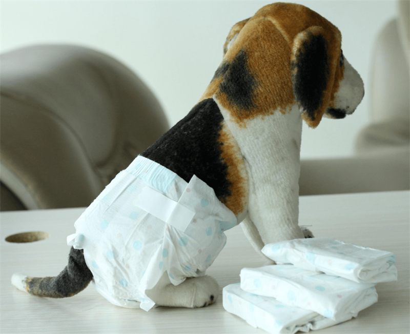 Dog Diaper (2)